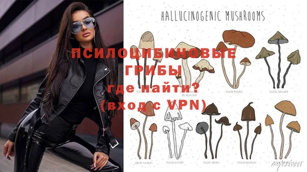 гашик Абинск