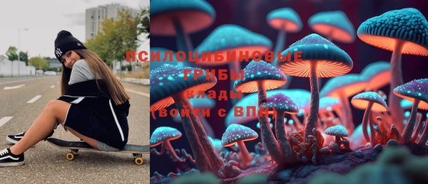 гашик Абинск