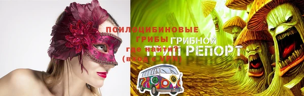 гашик Абинск