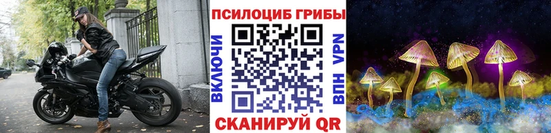 Псилоцибиновые грибы Psilocybine cubensis  гидра онион  Нягань 