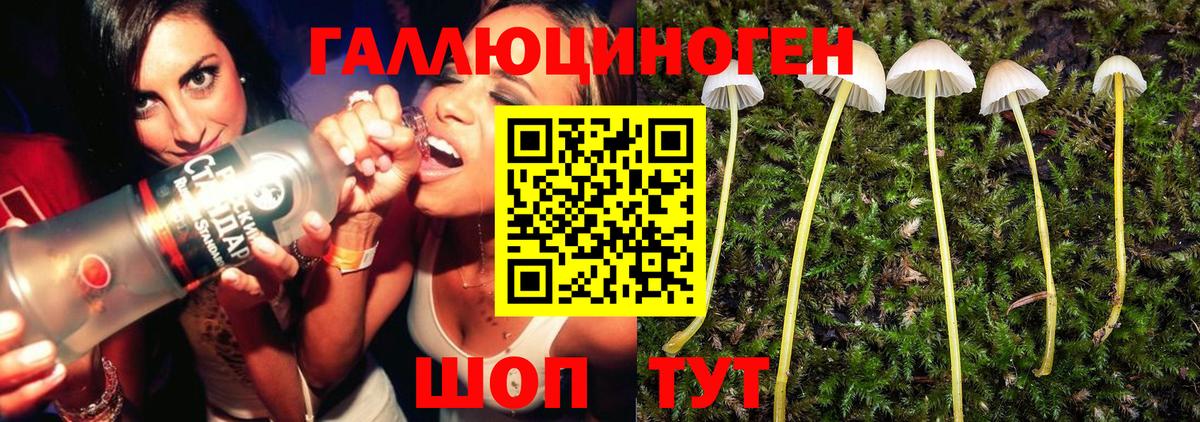 МЕФ Нягань