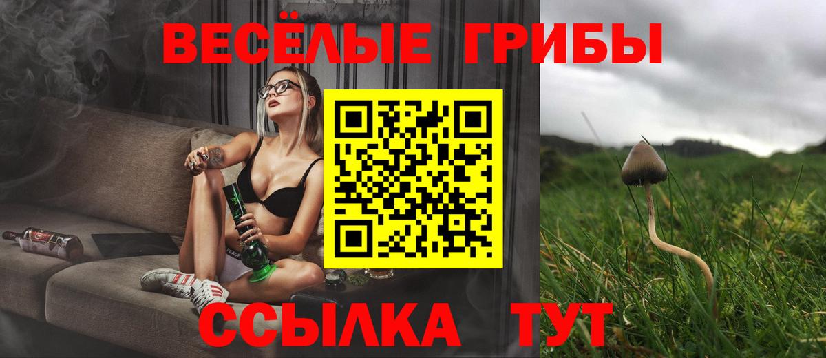 Нягань  Псилоцибиновые грибы ЛСД  Вход с VPN 