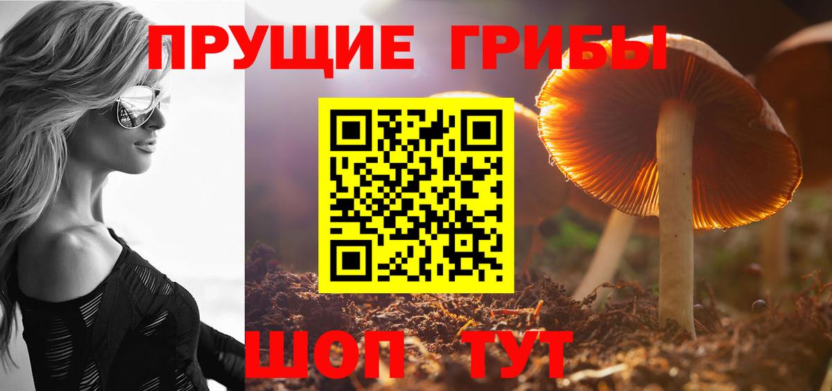 Галлюциногенные грибы Magic Shrooms Нягань