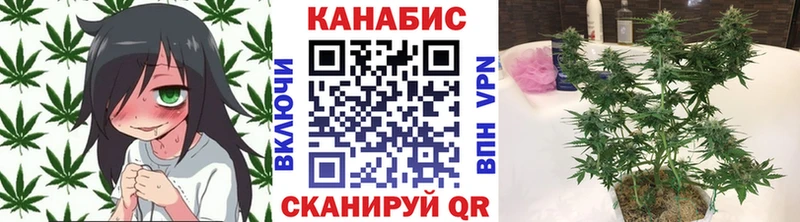 сайты даркнета Telegram KRAKEN как войти Нягань как найти Каннабис планчик